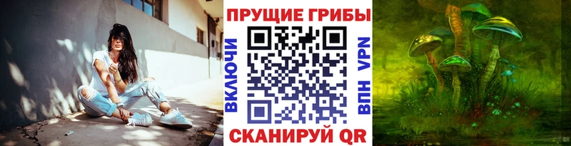 Псилоцибиновые грибы MAGIC MUSHROOMS Кимры